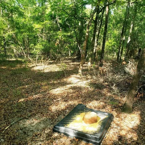 a view of swimming pool from a lake view