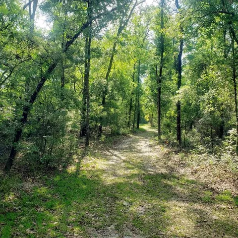a large yard with lots of green space and house in the back