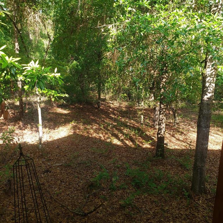 28063 31st Road Branford, FL 32008 - Photo 25 of 29 a view of yard