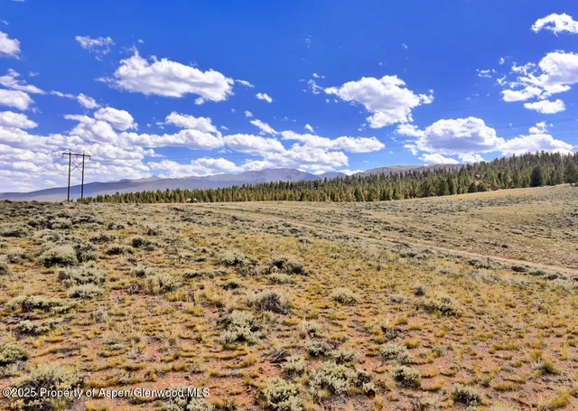$450,000 | Tbd Edward E Hill Drive, Twin Lakes, CO 81251