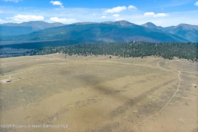 $450,000 | Tbd Edward E Hill Drive, Twin Lakes, CO 81251