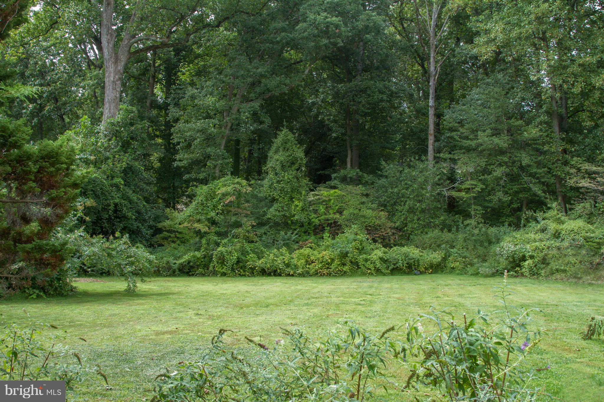 9108 Burning Tree Road Bethesda, MD 20817 - Photo 3 of 18 Exterior (Rear)