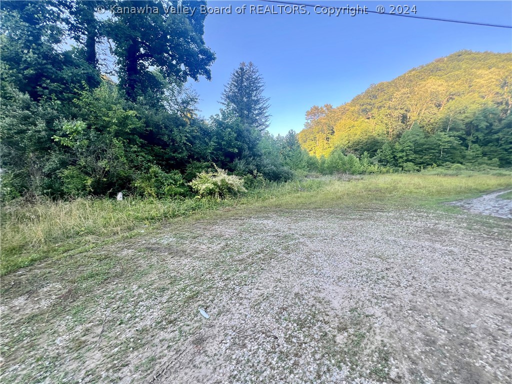 0 Double Camp Branch Road Matewan, WV 25678 - Photo 2 of 11 Gallery Image 2