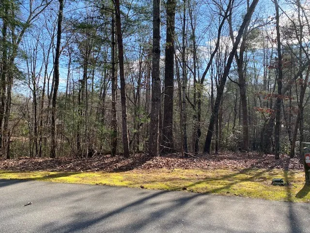 $12,000 | Lot 39 Turtlehead Drive, Salem, SC 29676