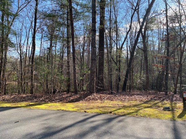 Lot 39 Turtlehead Drive Salem, SC 29676 - Photo 3 of 8