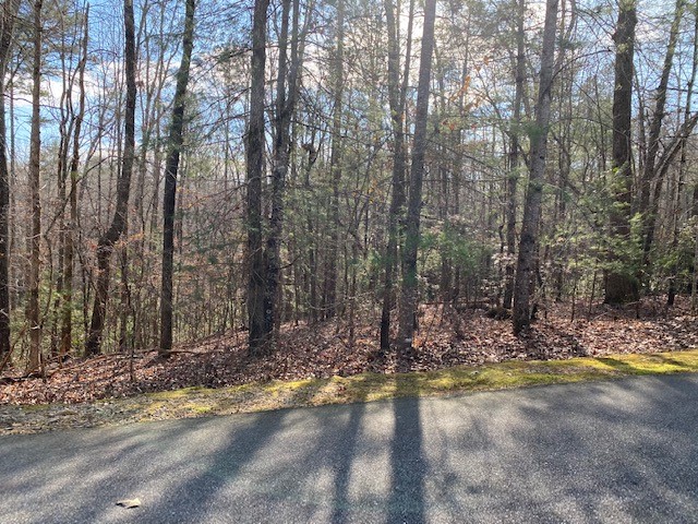 Lot 39 Turtlehead Drive Salem, SC 29676 - Photo 4 of 8