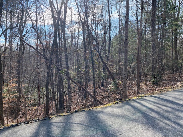 Lot 39 Turtlehead Drive Salem, SC 29676 - Photo 5 of 8