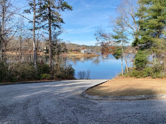 Lot 39 Turtlehead Drive Salem, SC 29676 - Photo 8 of 8