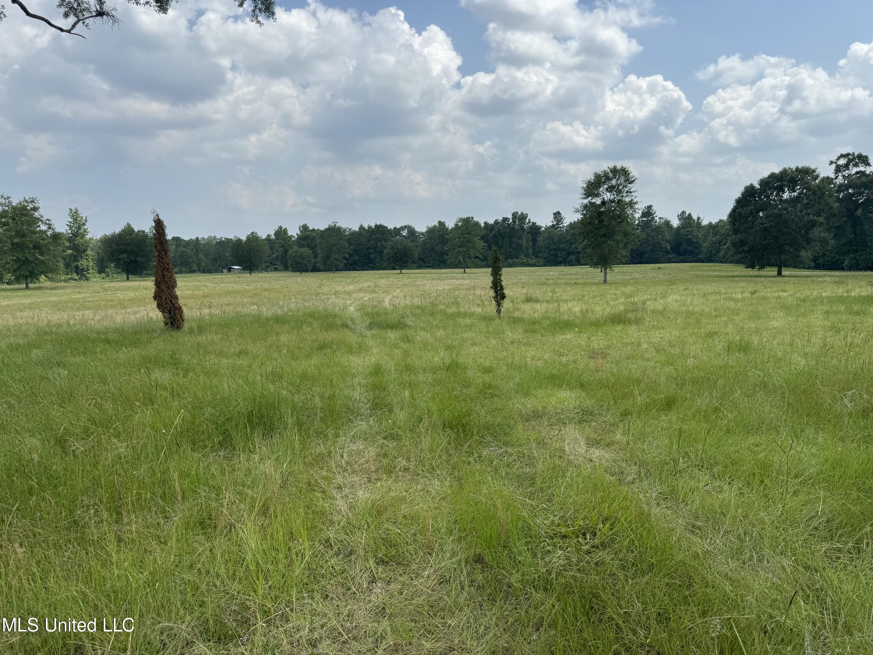 Silver Run Road Perkinston, MS 39573 - Photo 3 of 11 IMG_7347