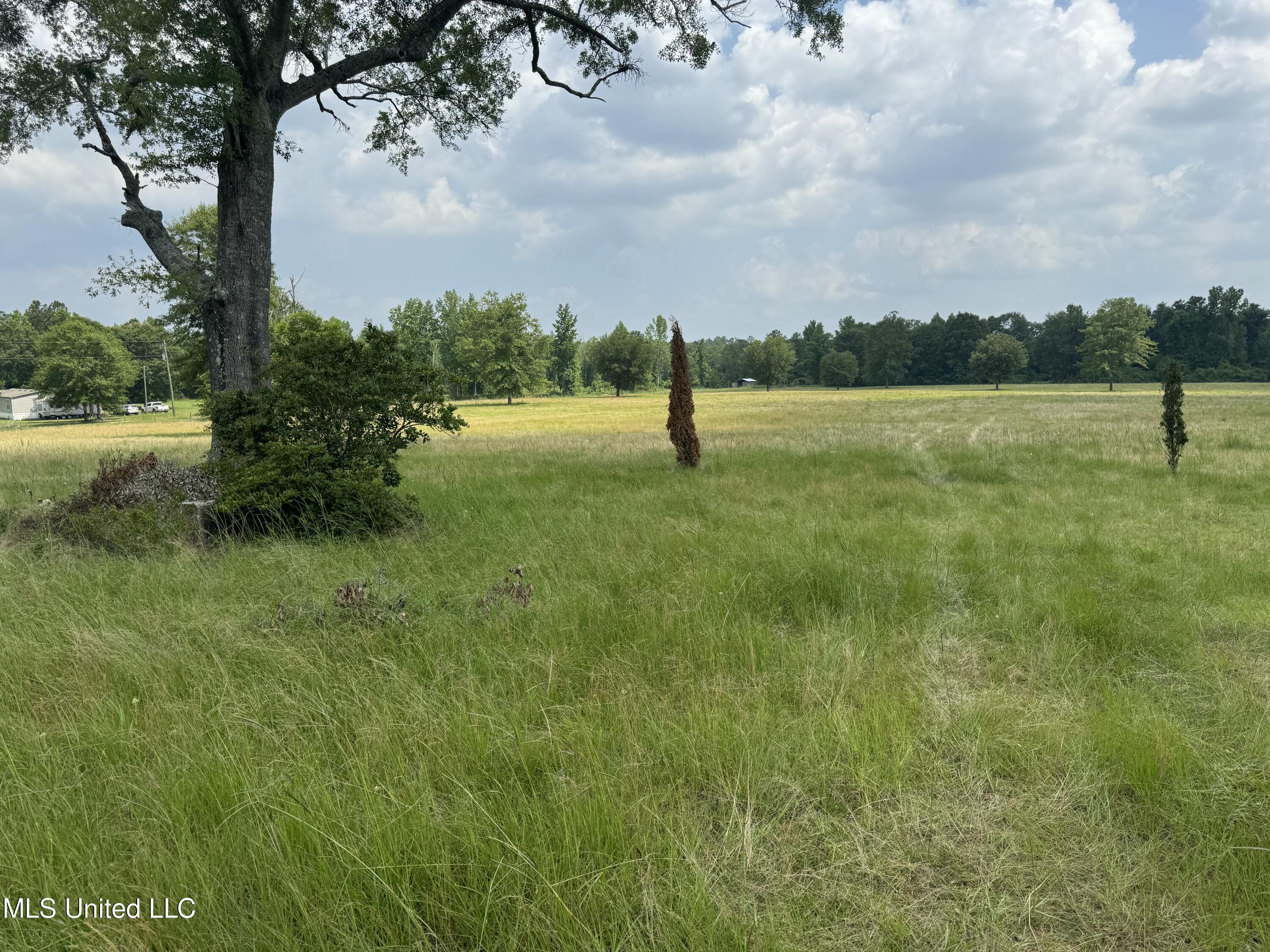 Silver Run Road Perkinston, MS 39573 - Photo 8 of 11 IMG_7342