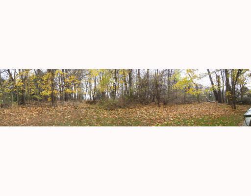 131 Ritter Road Sewickley, PA 15143 - Photo 11 of 12 Land. Rear yard is level and wooded.