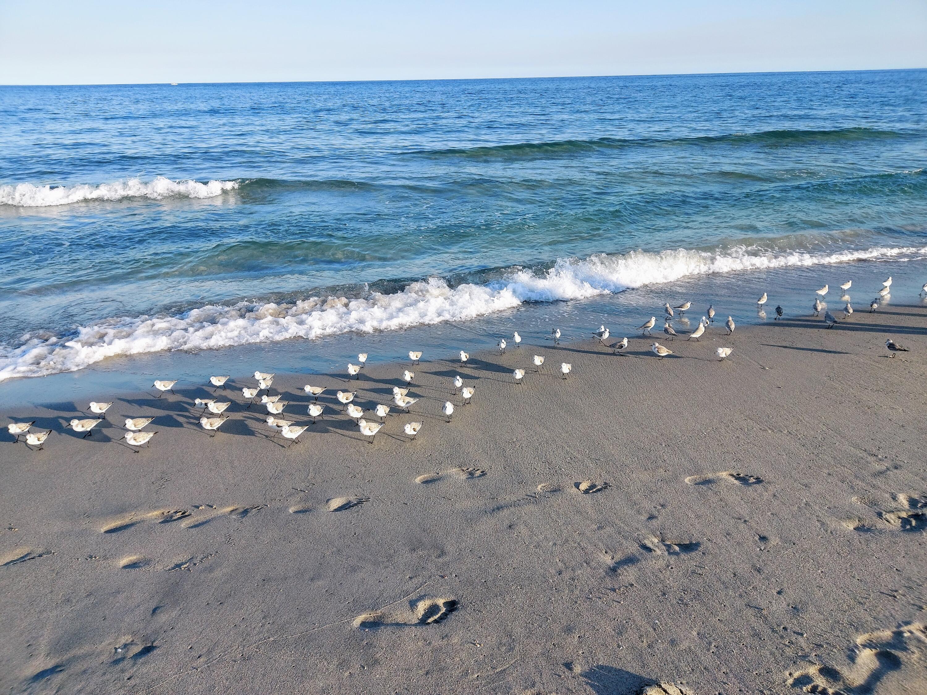 5505 North Ocean Boulevard, Unit 2201 Ocean Ridge, FL 33435 - Photo 23 of 24 Photos by Niki-6