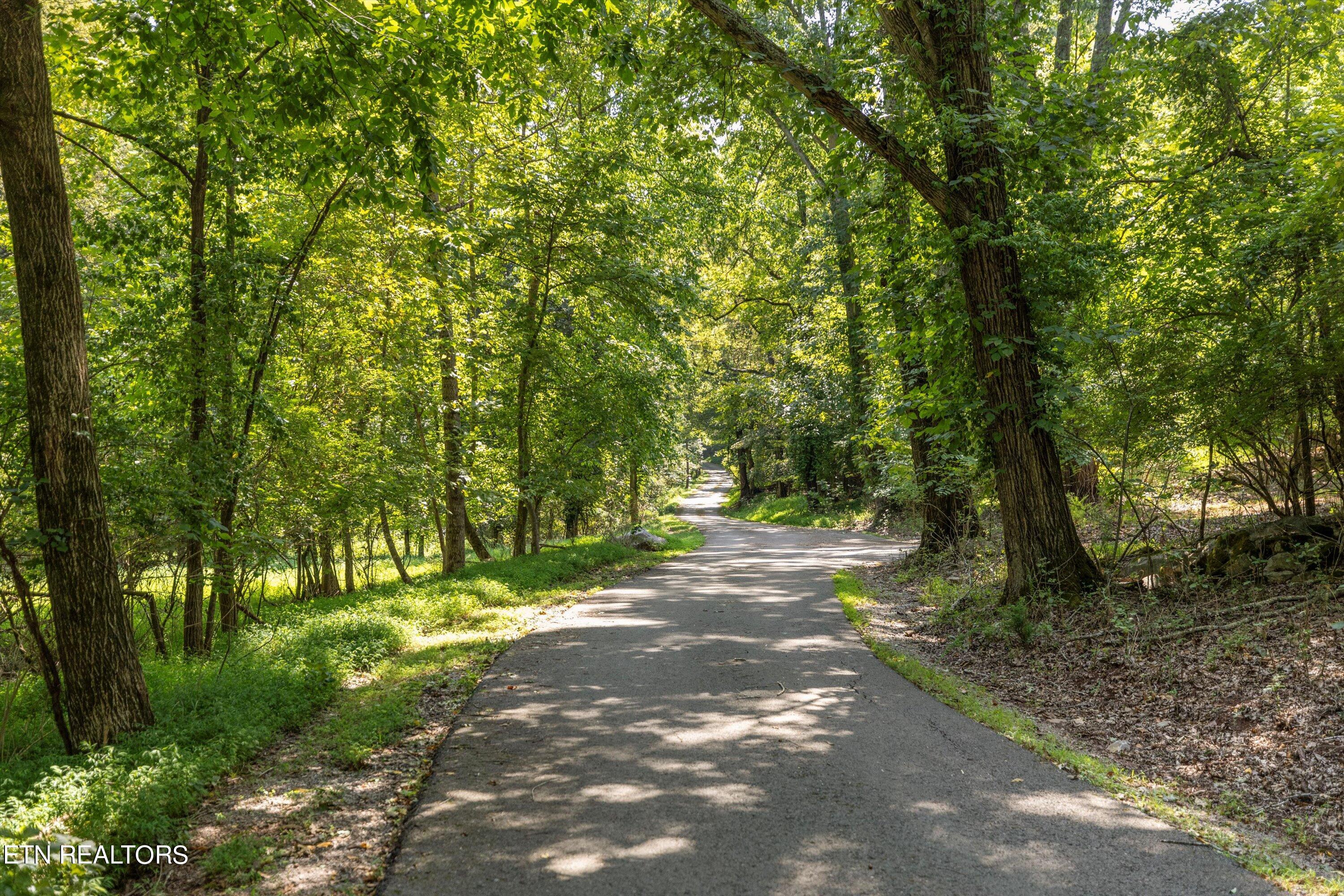 2132 Delta Queen Road Louisville, TN 37777 - Photo 13 of 15 Tree-lined Roads