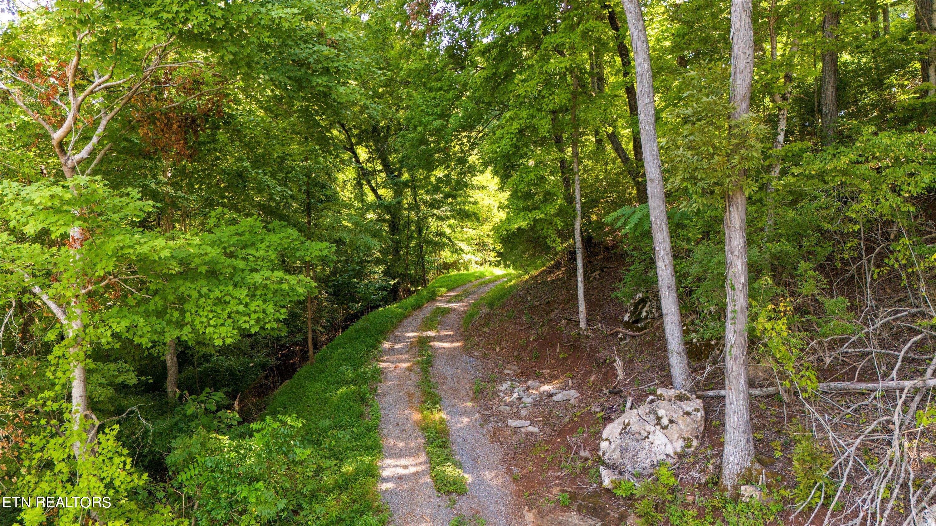 2132 Delta Queen Road Louisville, TN 37777 - Photo 14 of 15 Gravel Drive to Homsite