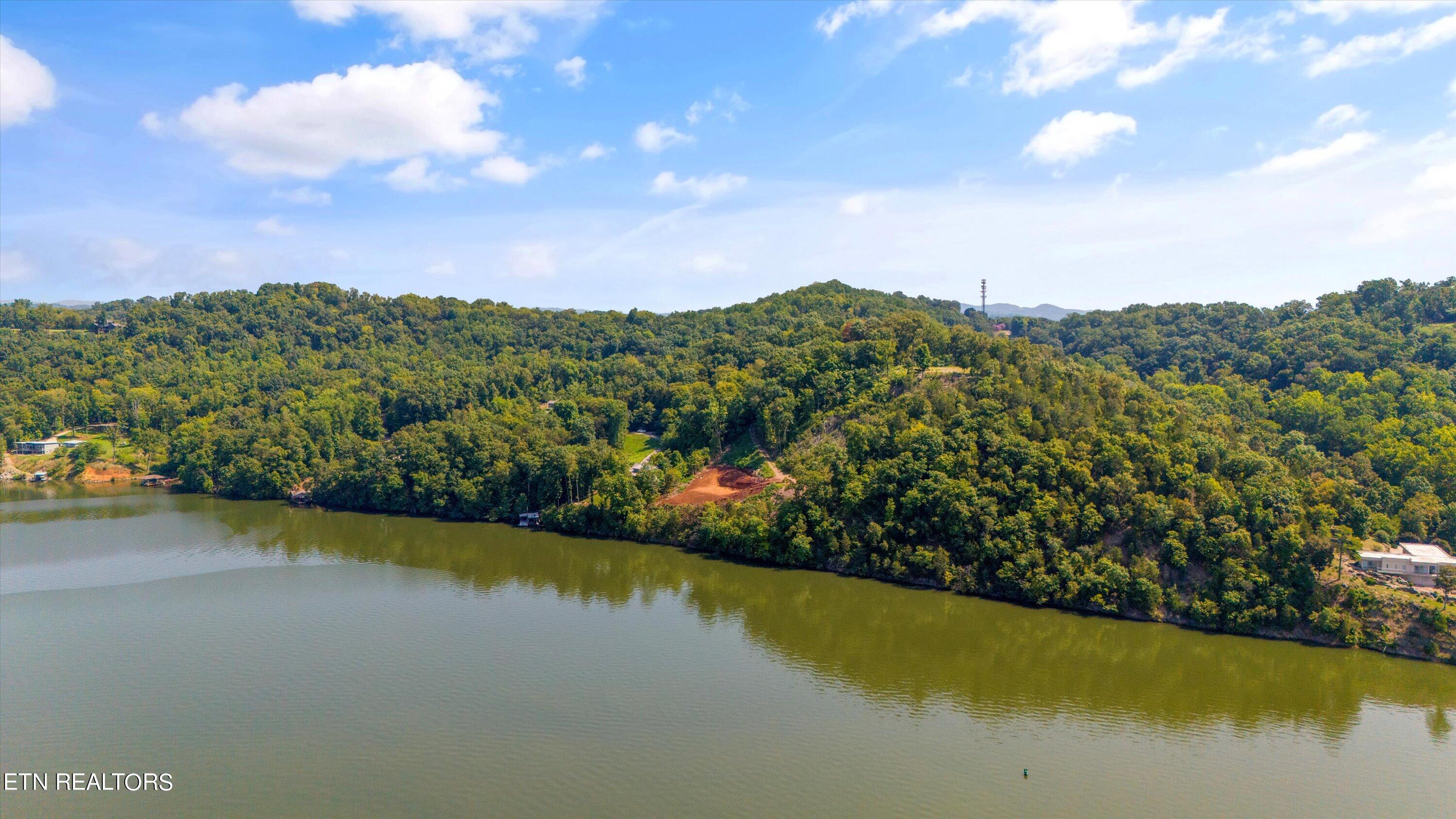 2132 Delta Queen Road Louisville, TN 37777 - Photo 8 of 15 08-2132DeltaQueenRd-12