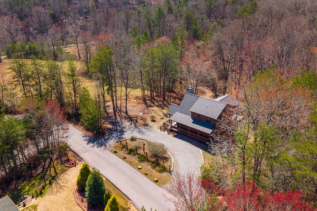 166 Dallas Lane Blue Ridge, GA 30513 - Photo 3 of 27