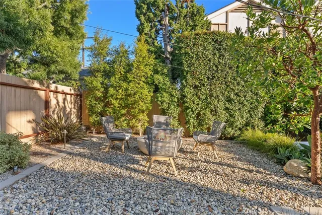 a view of a yard with plants and large trees