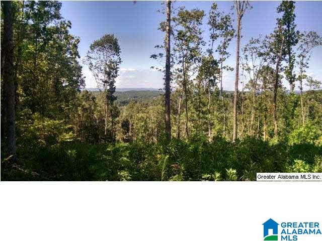0 Beaver Ridge Drive, Unit 42 48 Ashville, AL 35953 - Photo 7 of 26