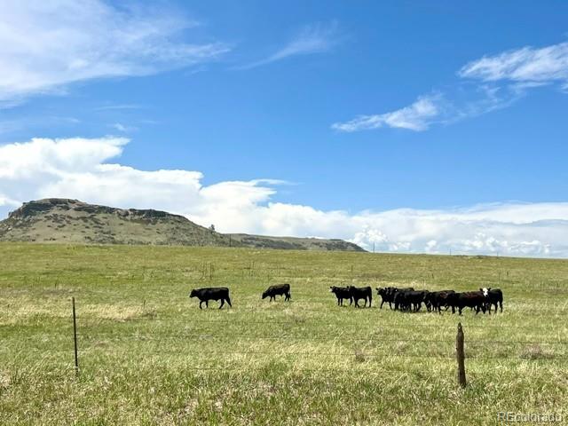 11977 Haskell Creek Road Larkspur, CO 80118 - Photo 4 of 29