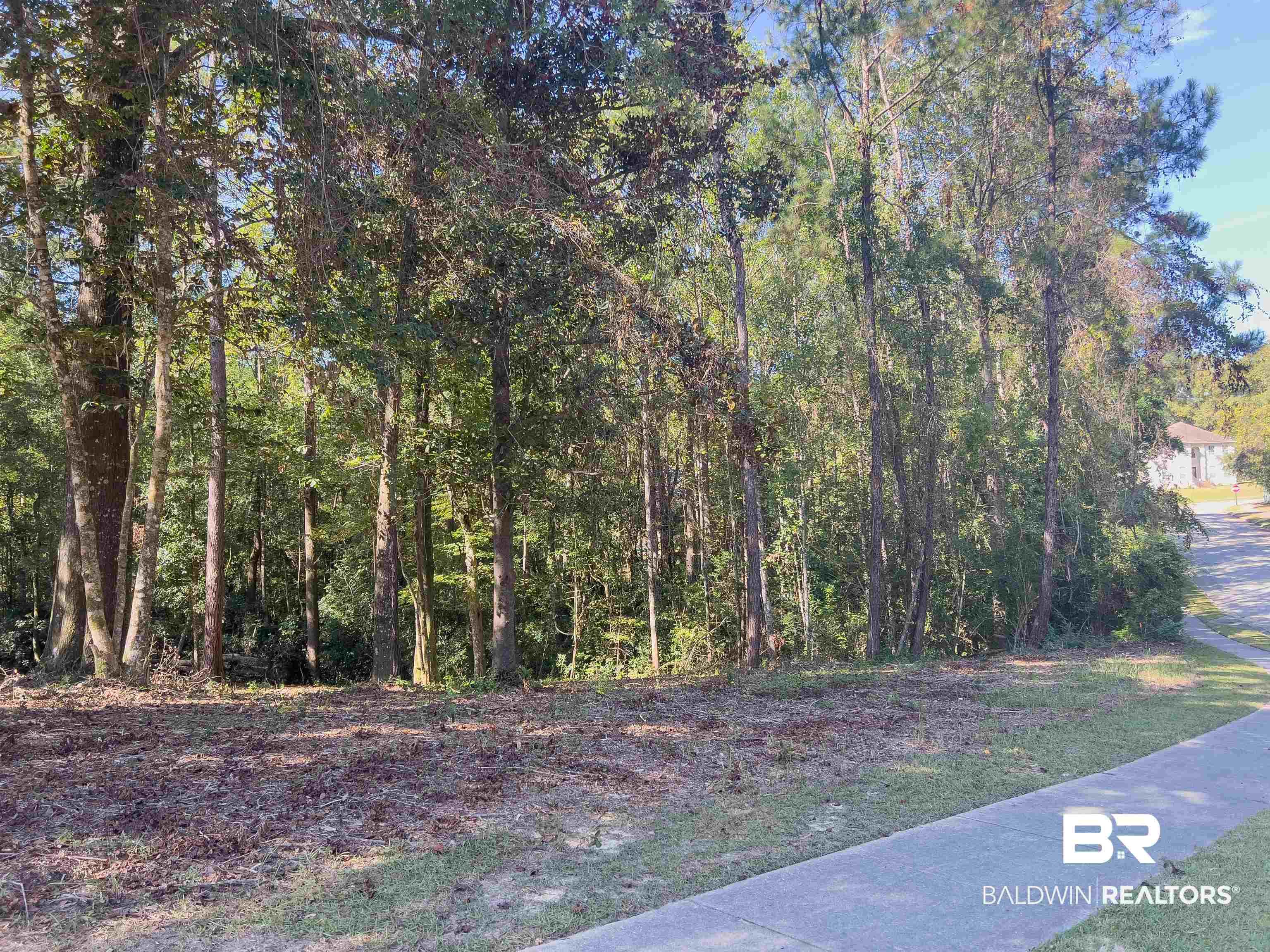 30460 Dolive Ridge Daphne, AL 36527 - Photo 7 of 12