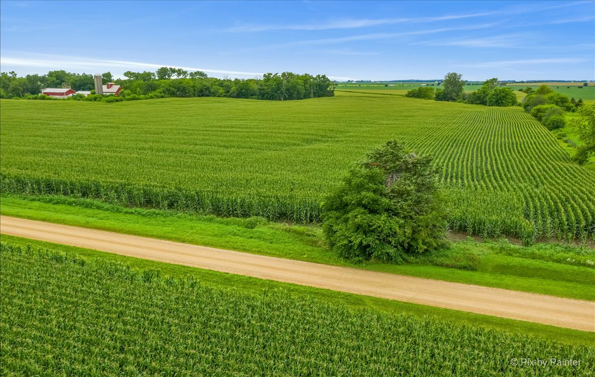 Lot 7 Rowe Road Elburn, IL 60119 - Photo 21 of 23 a view of a field with a big yard