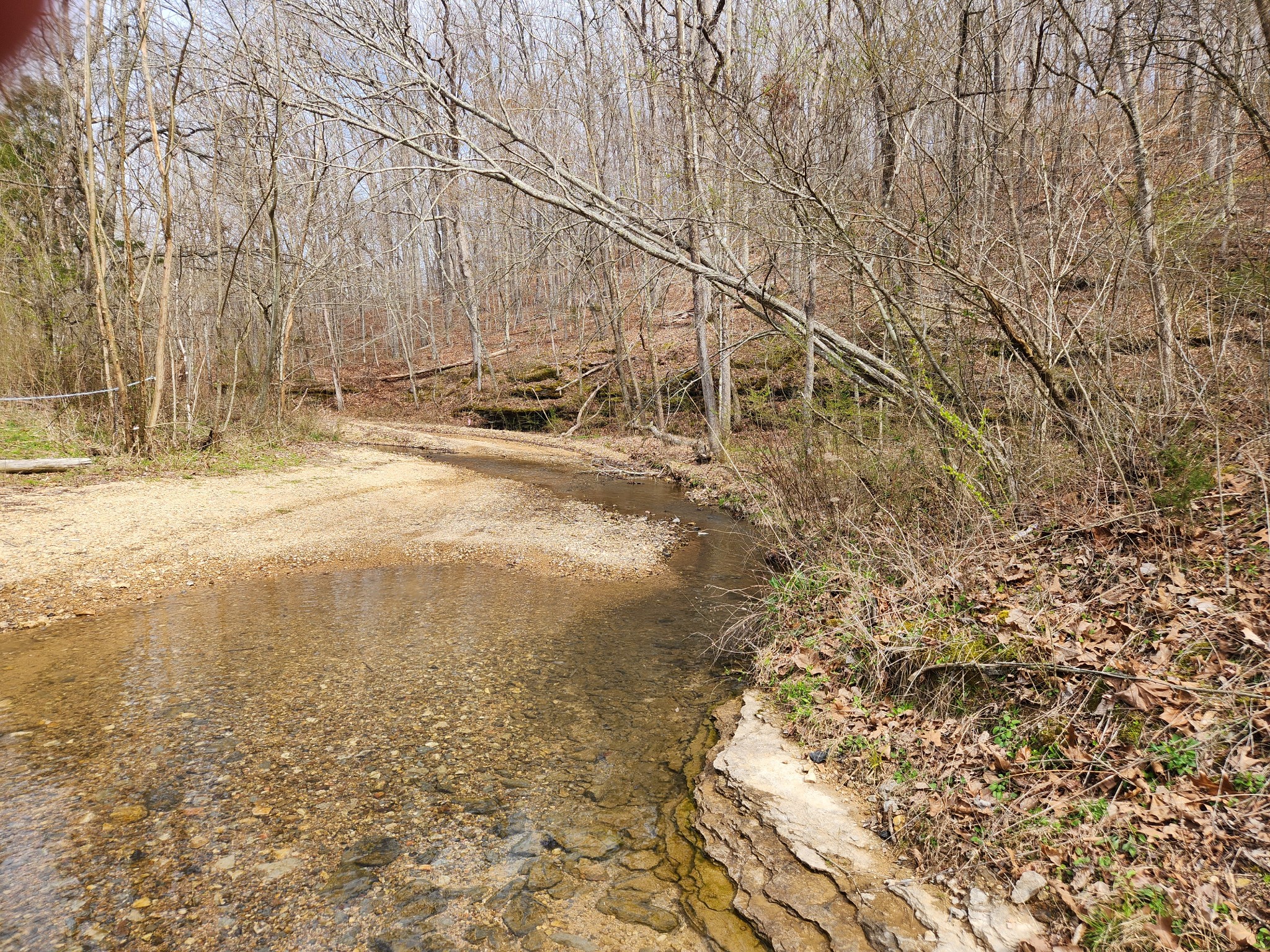 0 Sullivan Road Centerville, TN 37033 - Photo 1 of 11 a view of a yard with wooden fence