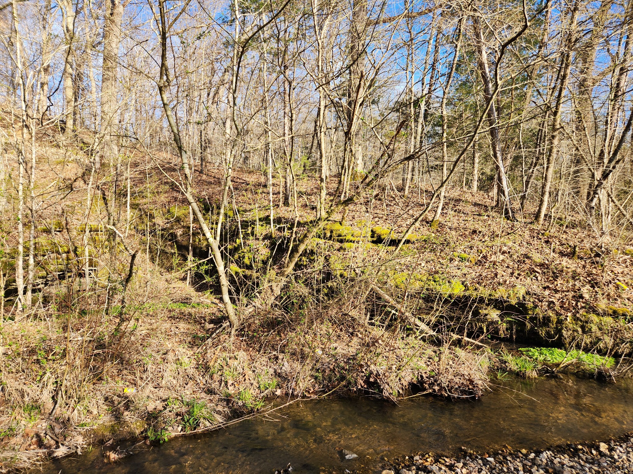 0 Sullivan Road Centerville, TN 37033 - Photo 3 of 11 a view of residential houses with yard