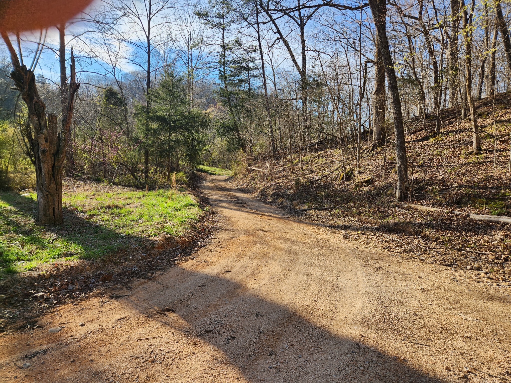 0 Sullivan Road Centerville, TN 37033 - Photo 6 of 11 a view of a yard with trees