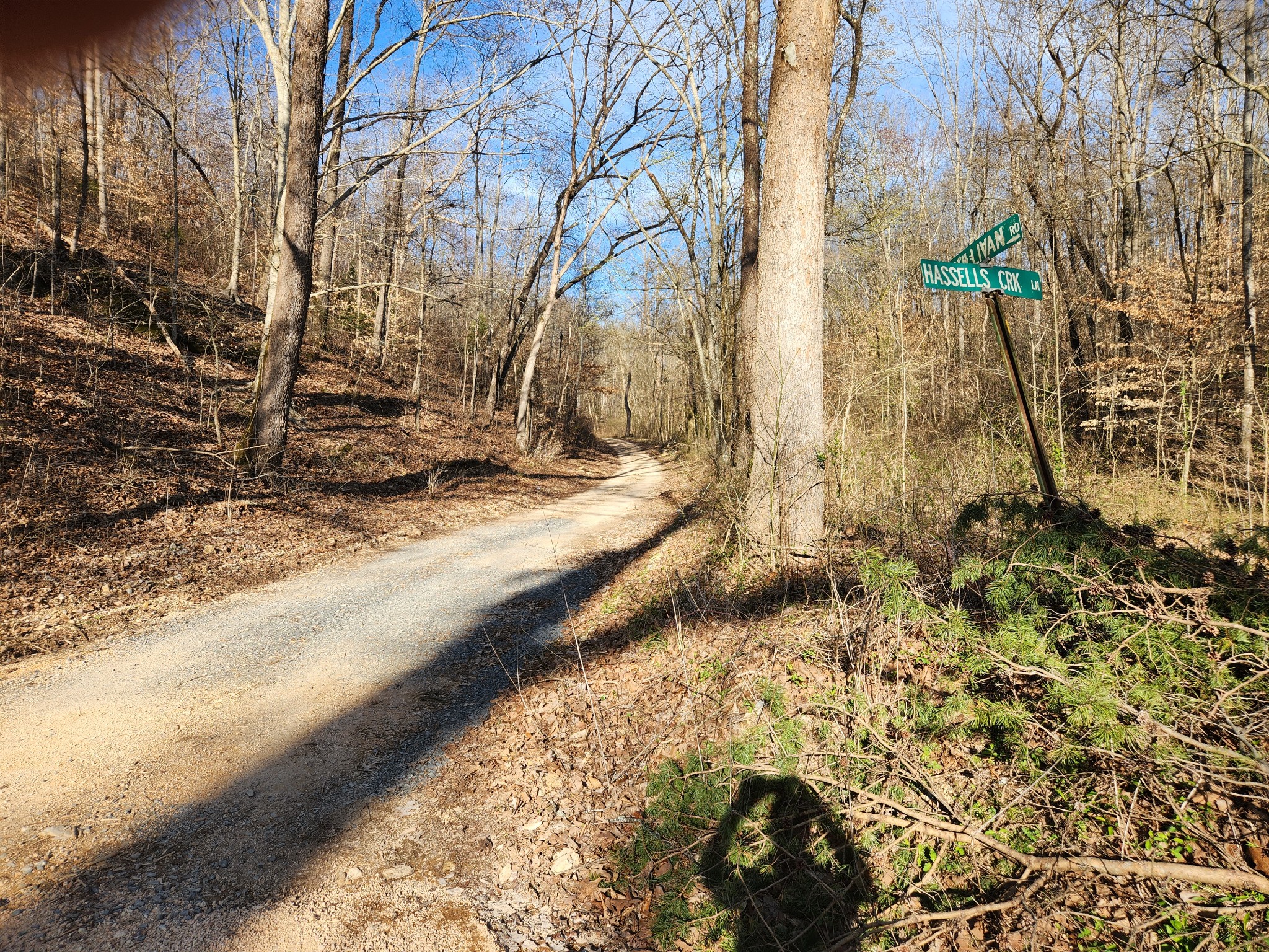 0 Sullivan Road Centerville, TN 37033 - Photo 7 of 11 a view of yard