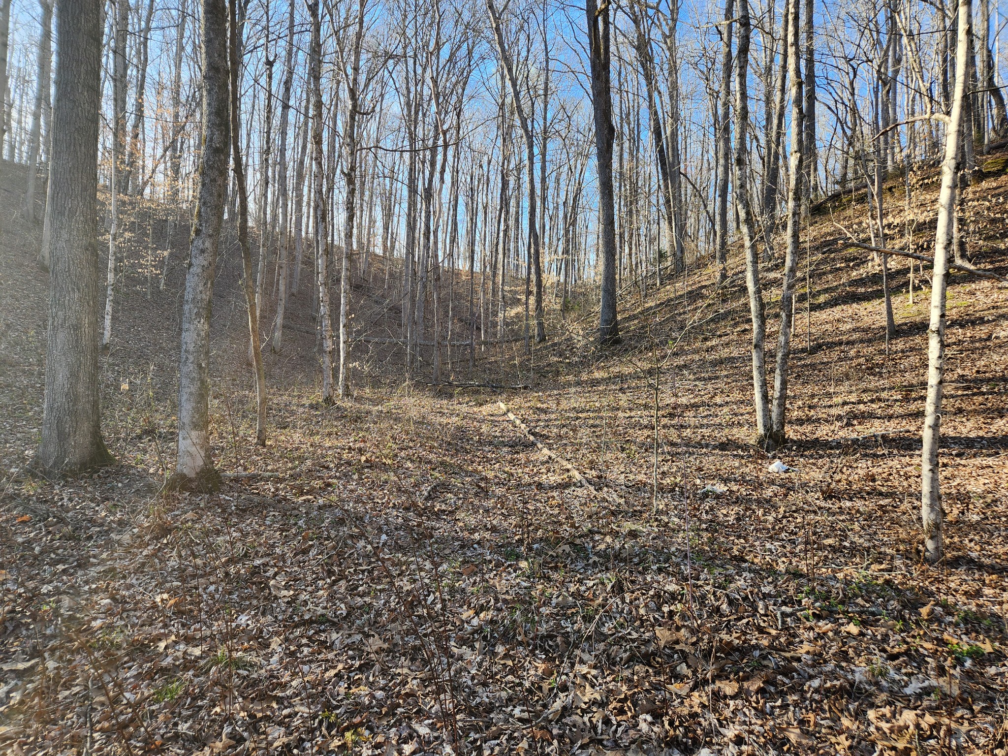 0 Sullivan Road Centerville, TN 37033 - Photo 8 of 11