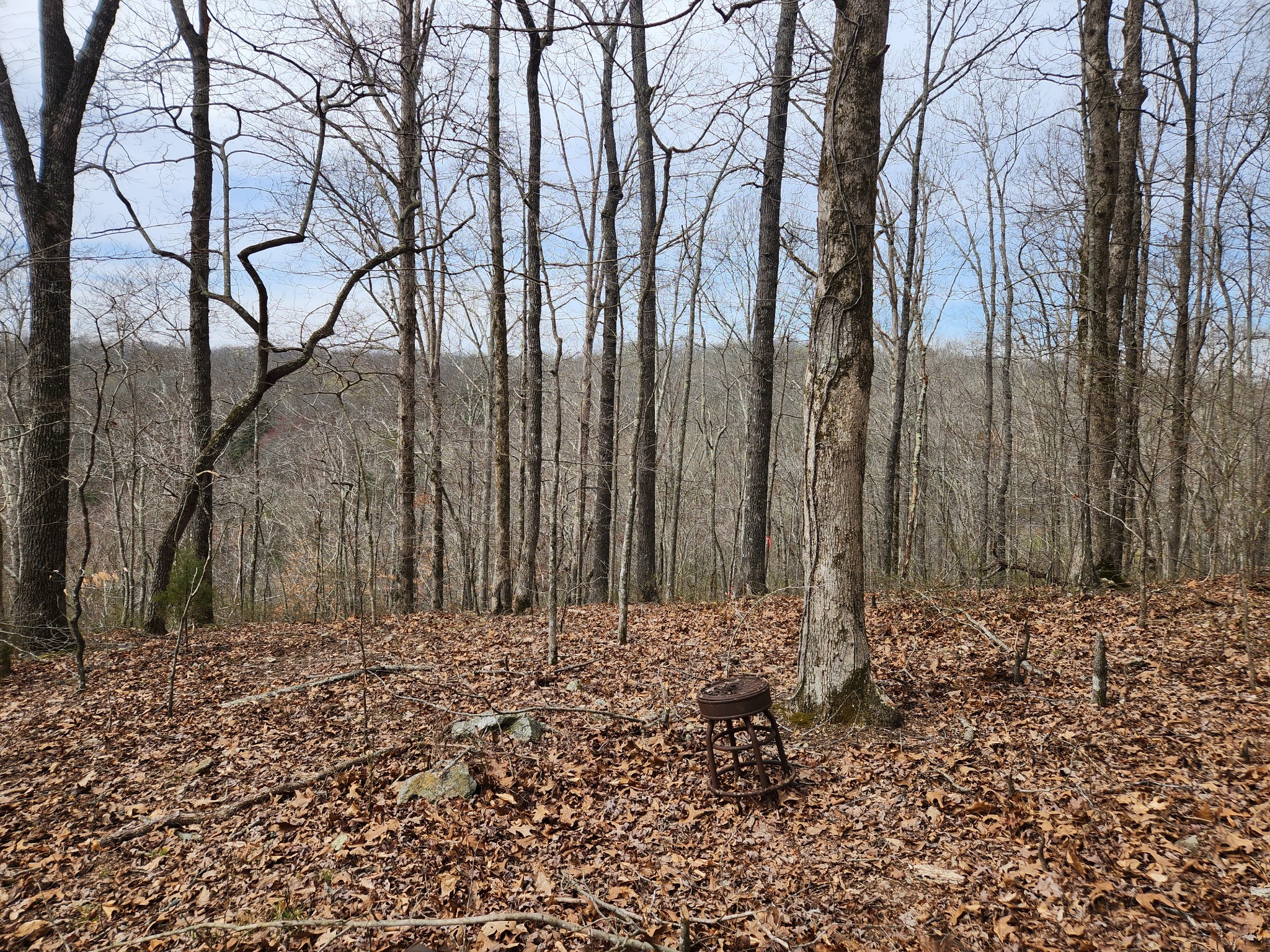 0 Sullivan Road Centerville, TN 37033 - Photo 10 of 11 a view of wooden fence