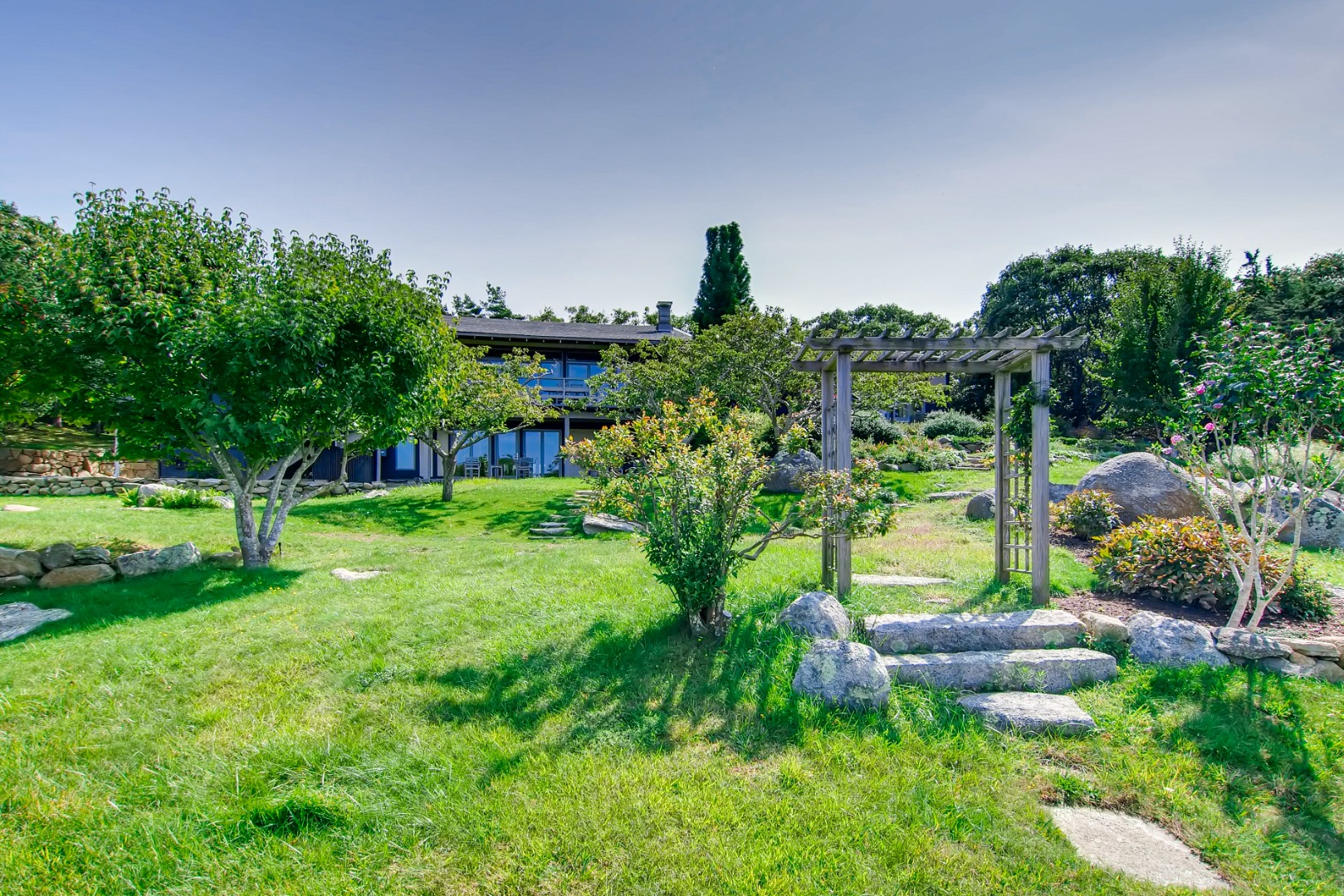 a green field with lots of plants and trees in the background