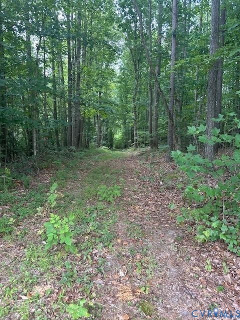 0 Ballsville Road Powhatan, VA 23139 - Photo 7 of 7