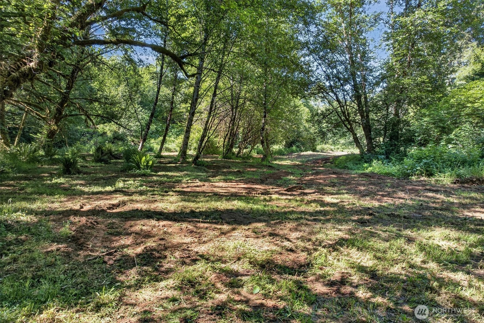 344 Hull Creek Road Grays River, WA 98621 - Photo 8 of 29