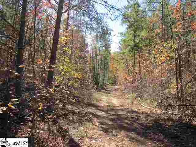 2247 Reedy Fork Road Pelzer, SC 29669 - Photo 19 of 24