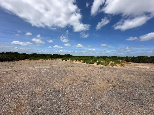 a view of a green field