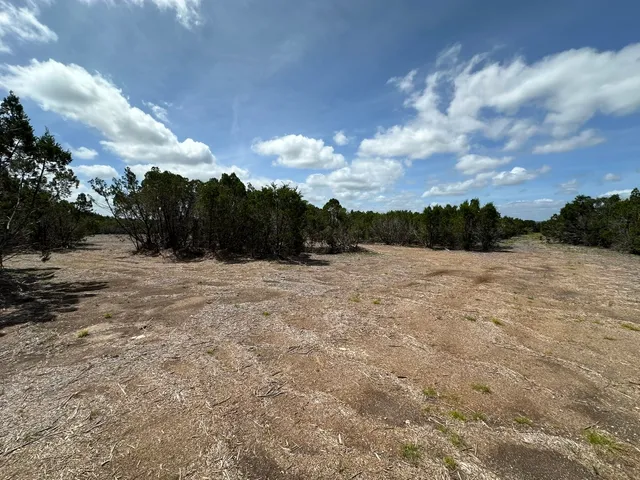a view of a lake from a yard