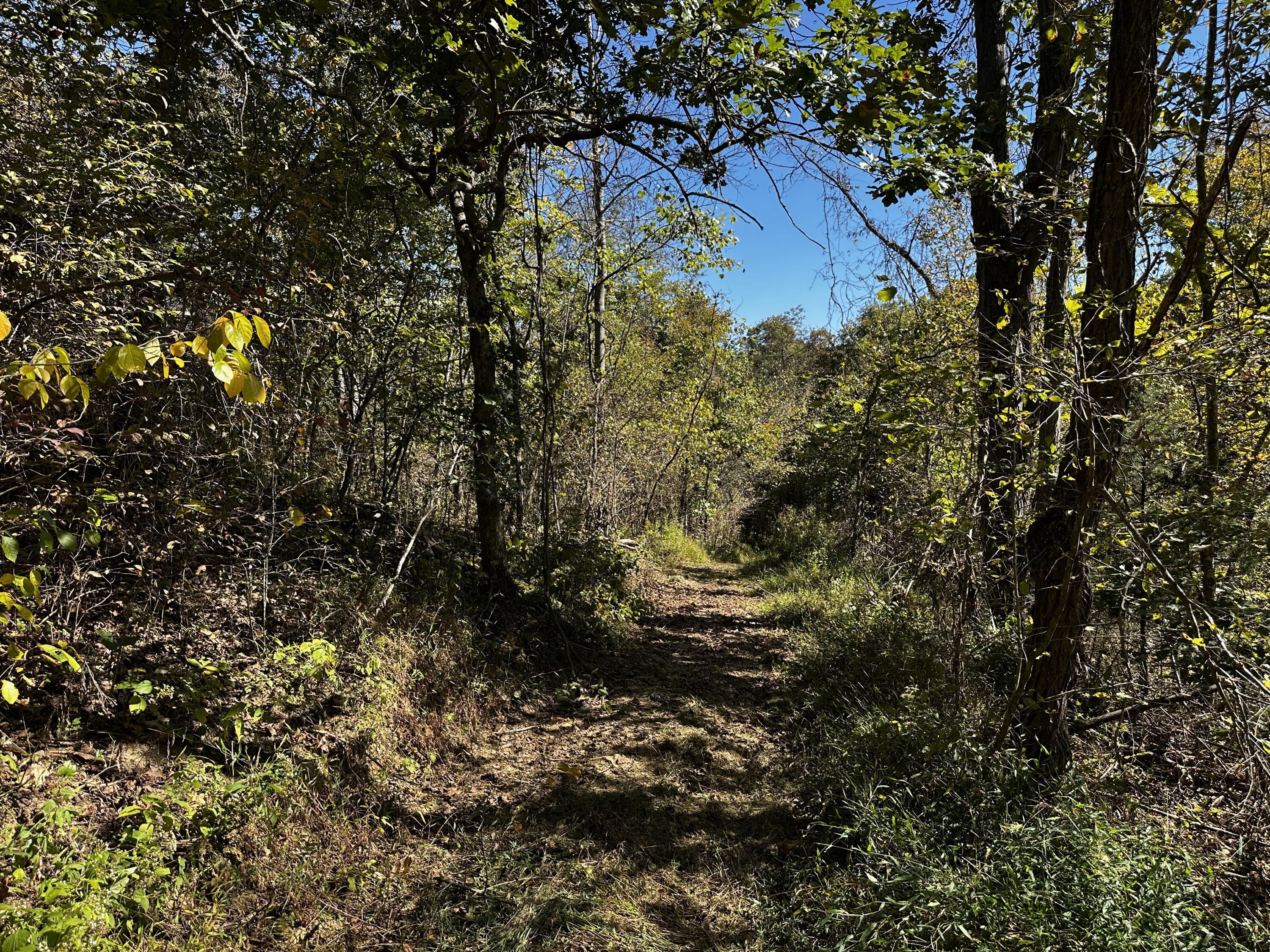 865 Hull Road, Unit TRACT 13 WOODS WAYNE FOREST) Patriot, OH 45658 - Photo 23 of 57 20241008_175058397_iOS