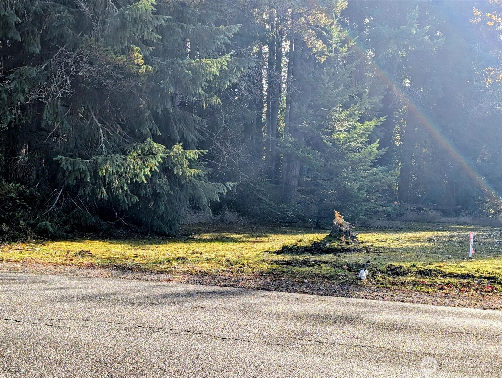 1 Southeast Salmonberry Road Port Orchard, WA 98366 - Photo 1 of 3 Gallery Image 1