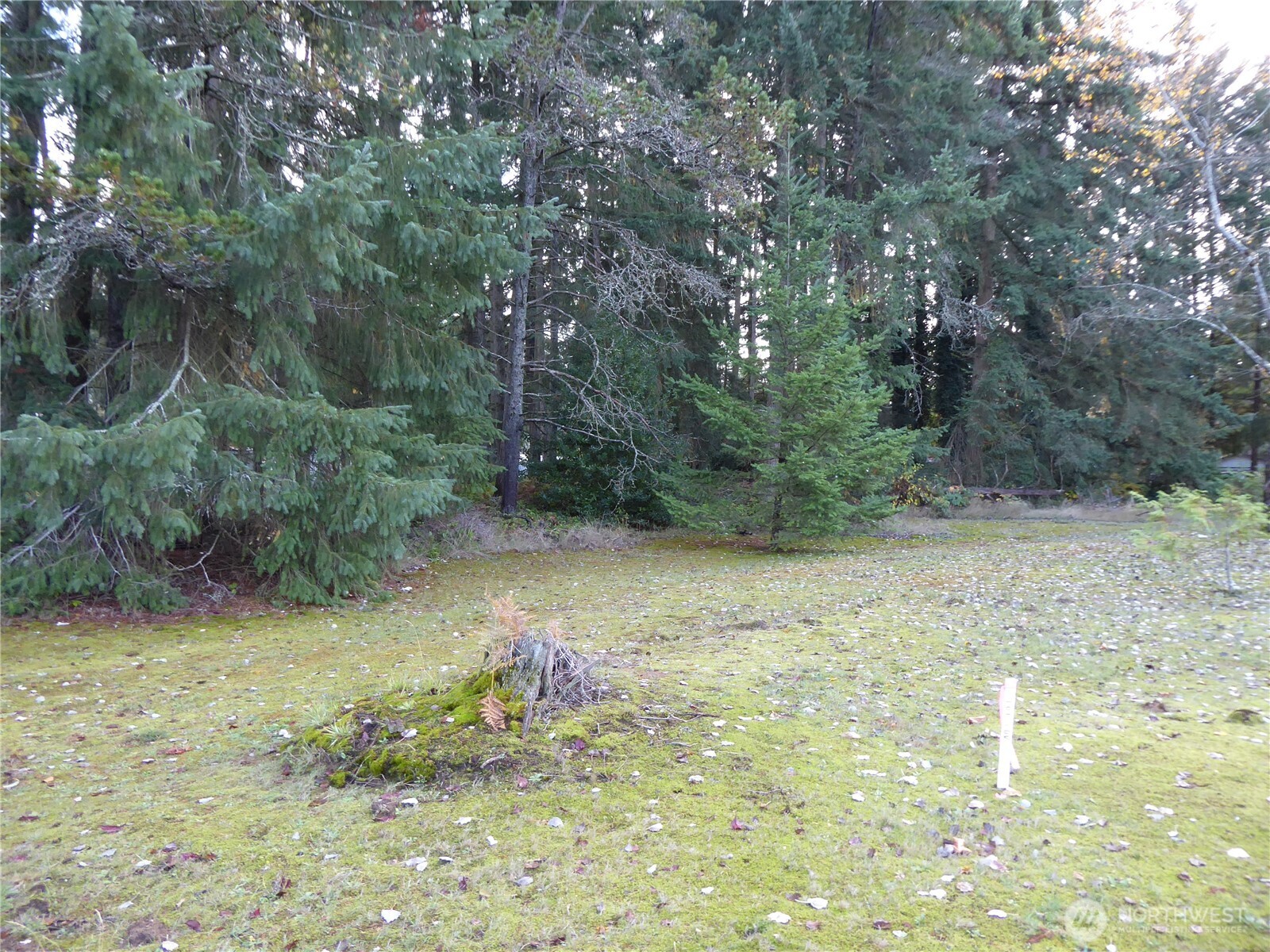 1 Southeast Salmonberry Road Port Orchard, WA 98366 - Photo 2 of 3 Gallery Image 2