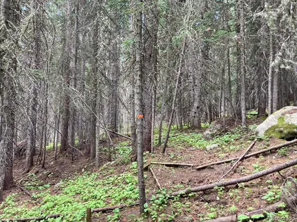 $275,000 | 4400 4th Of July Road, Nederland, CO 80466