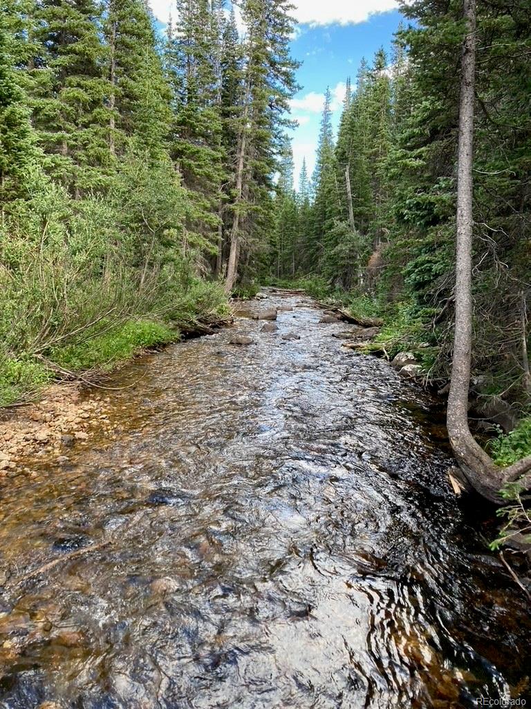 4400 4th Of July Road Nederland, CO 80466 - Photo 4 of 27