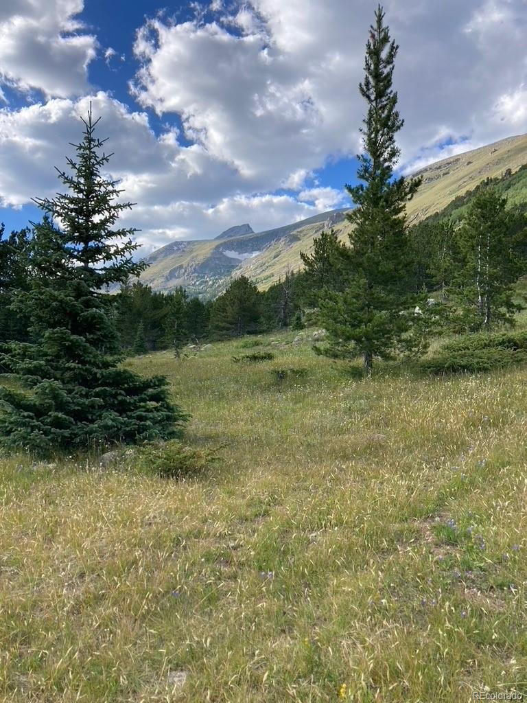 4400 4th Of July Road Nederland, CO 80466 - Photo 6 of 27