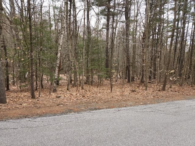 47 Juniper Ridge Road, Unit 101 Gilford, NH 03249 - Photo 3 of 5
