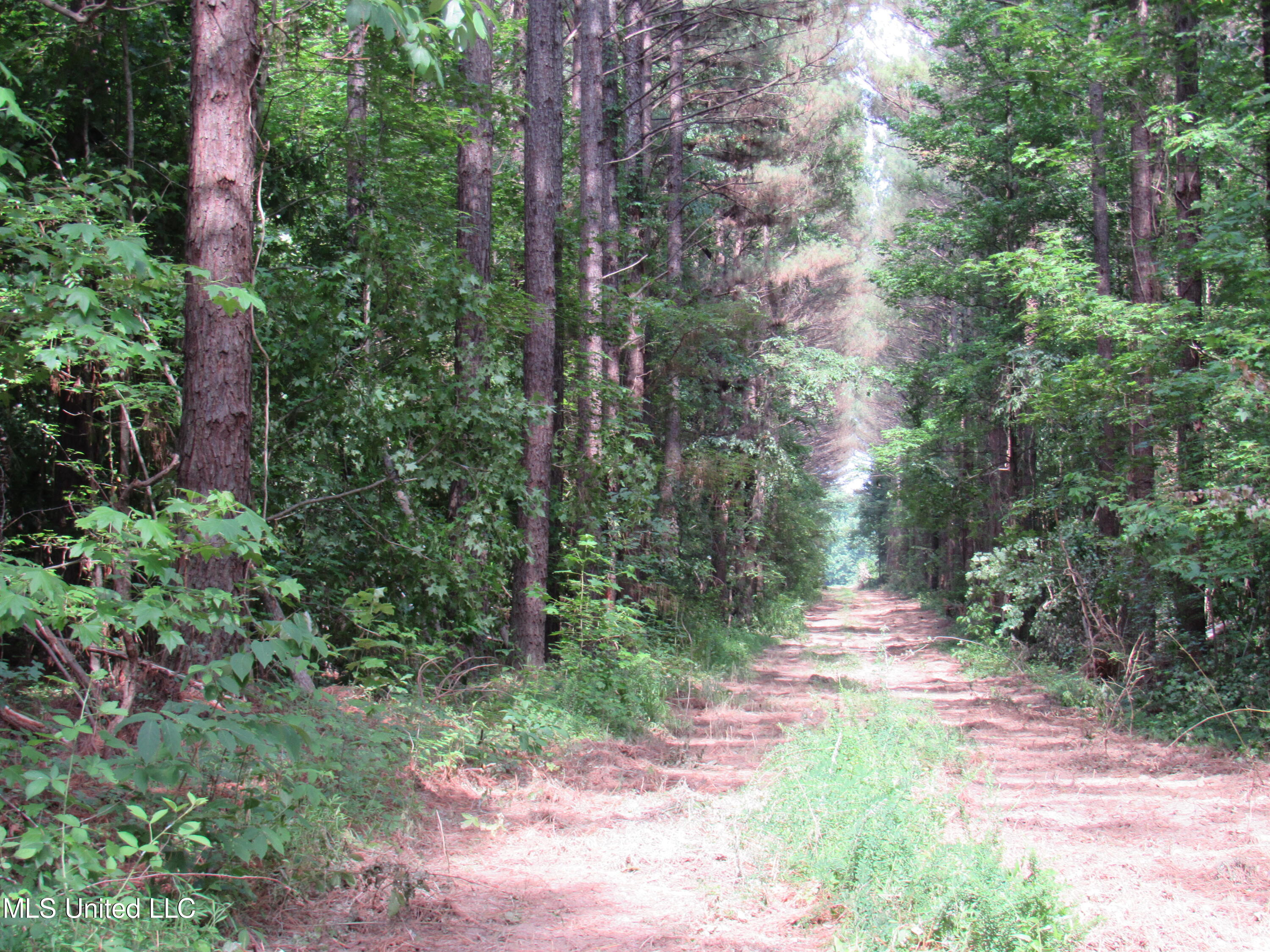No Harmon Road Senatobia, MS 38668 - Photo 1 of 46 IMG_3441