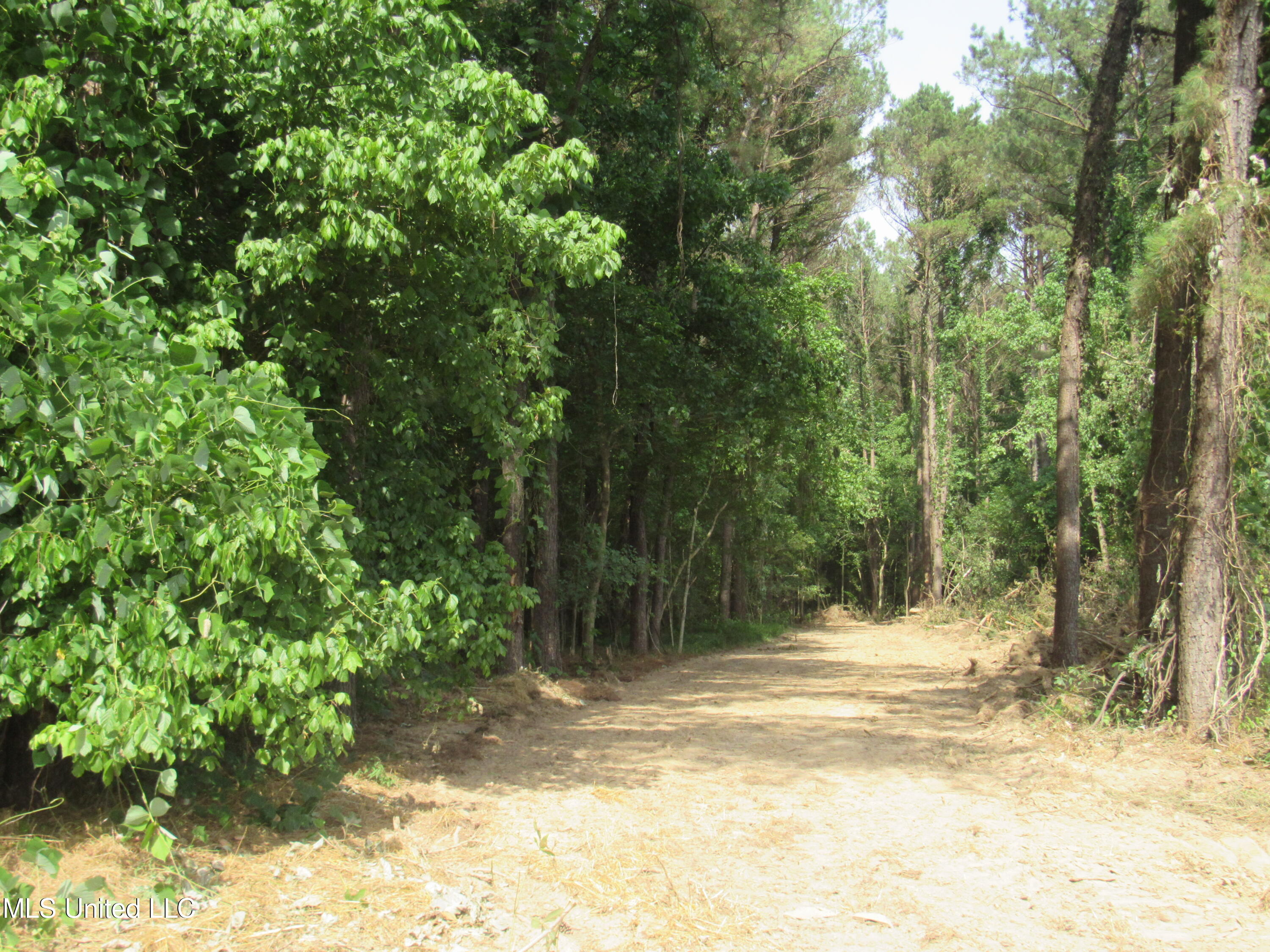 No Harmon Road Senatobia, MS 38668 - Photo 15 of 46 IMG_3433