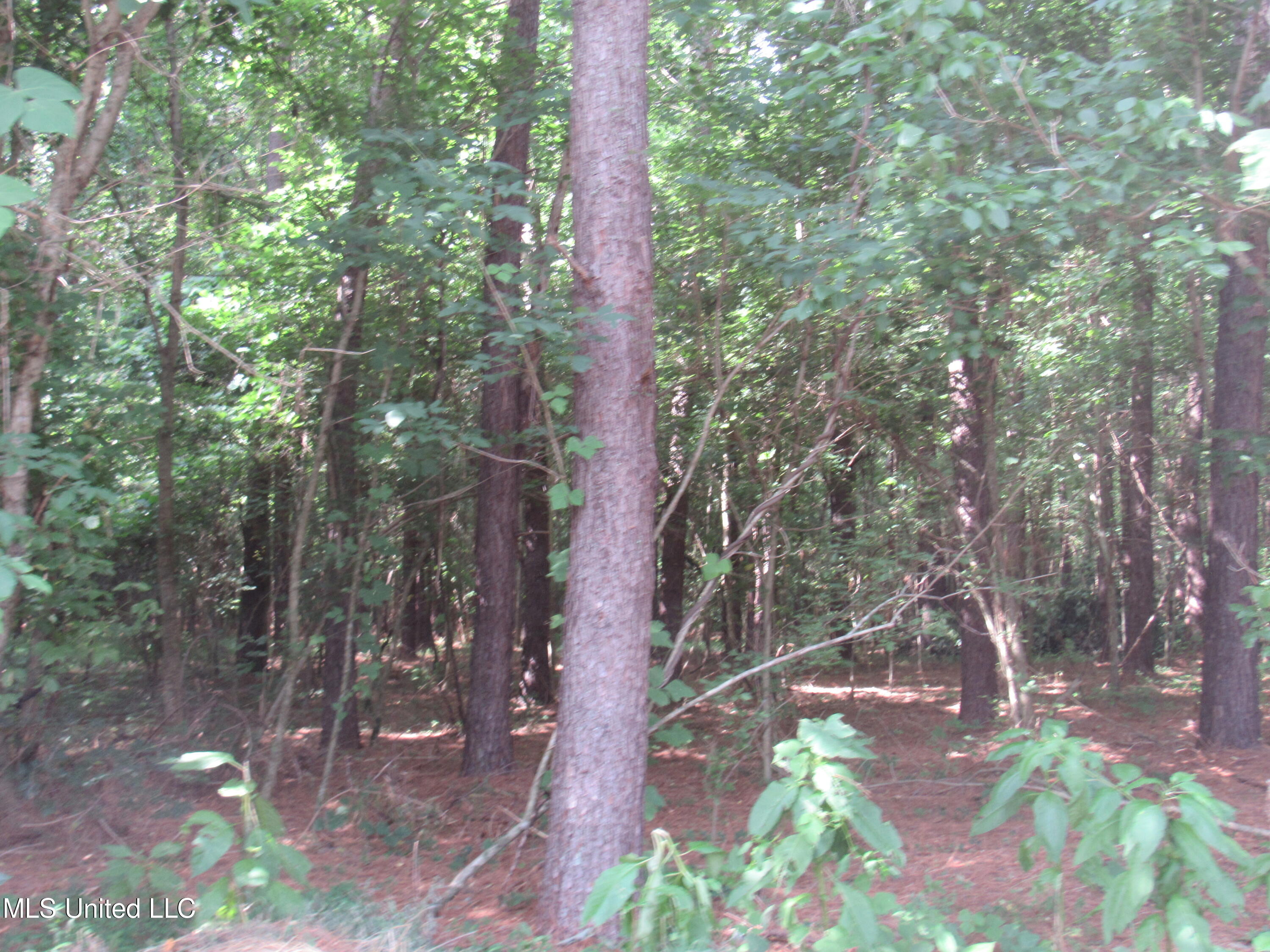 No Harmon Road Senatobia, MS 38668 - Photo 16 of 46 IMG_3434