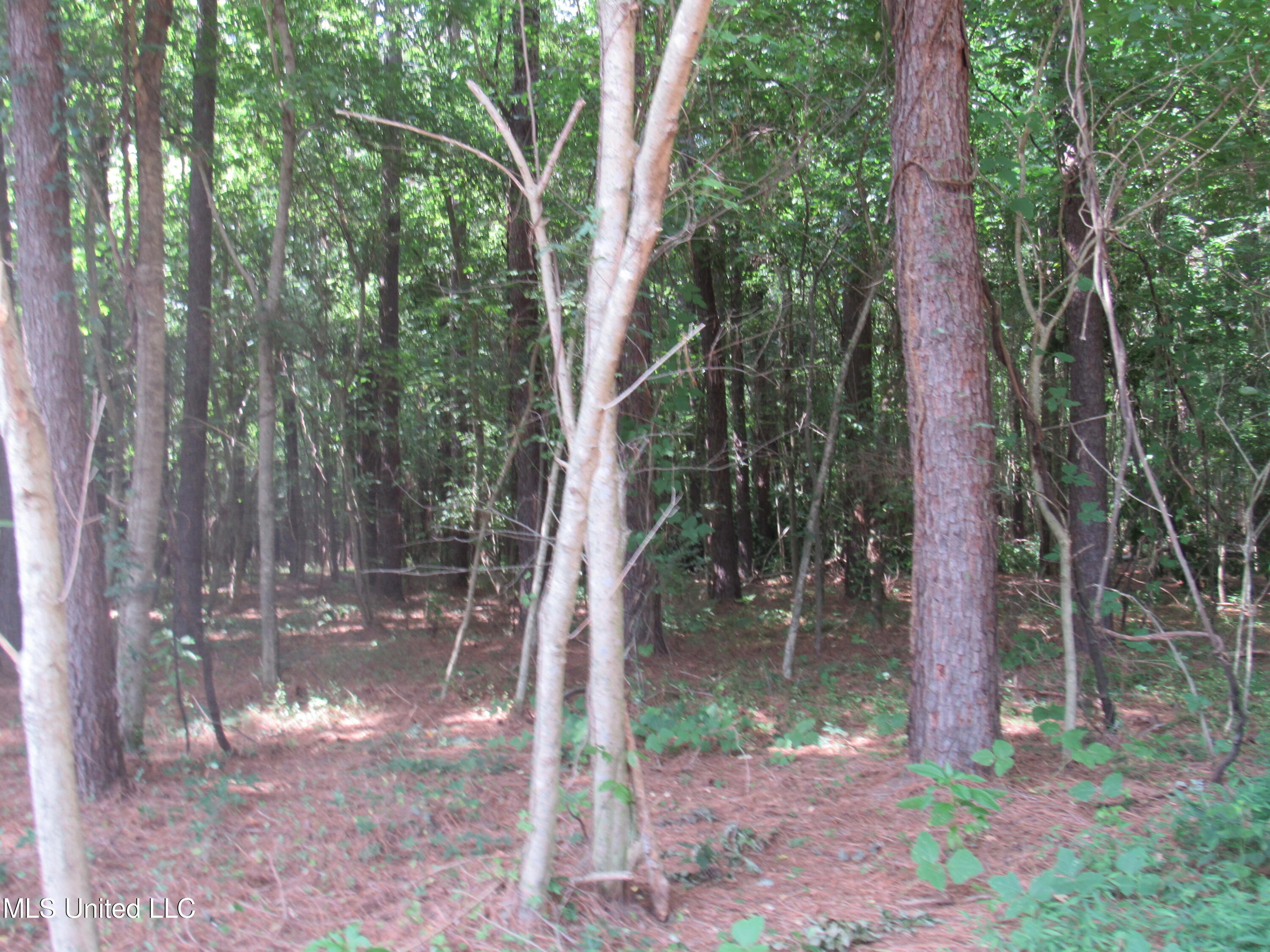 No Harmon Road Senatobia, MS 38668 - Photo 17 of 46 IMG_3435
