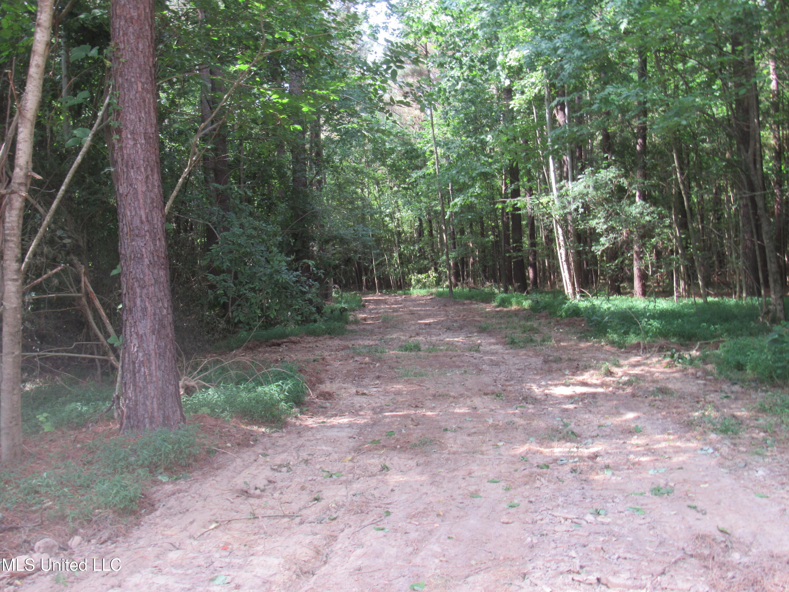 No Harmon Road Senatobia, MS 38668 - Photo 18 of 46 IMG_3436