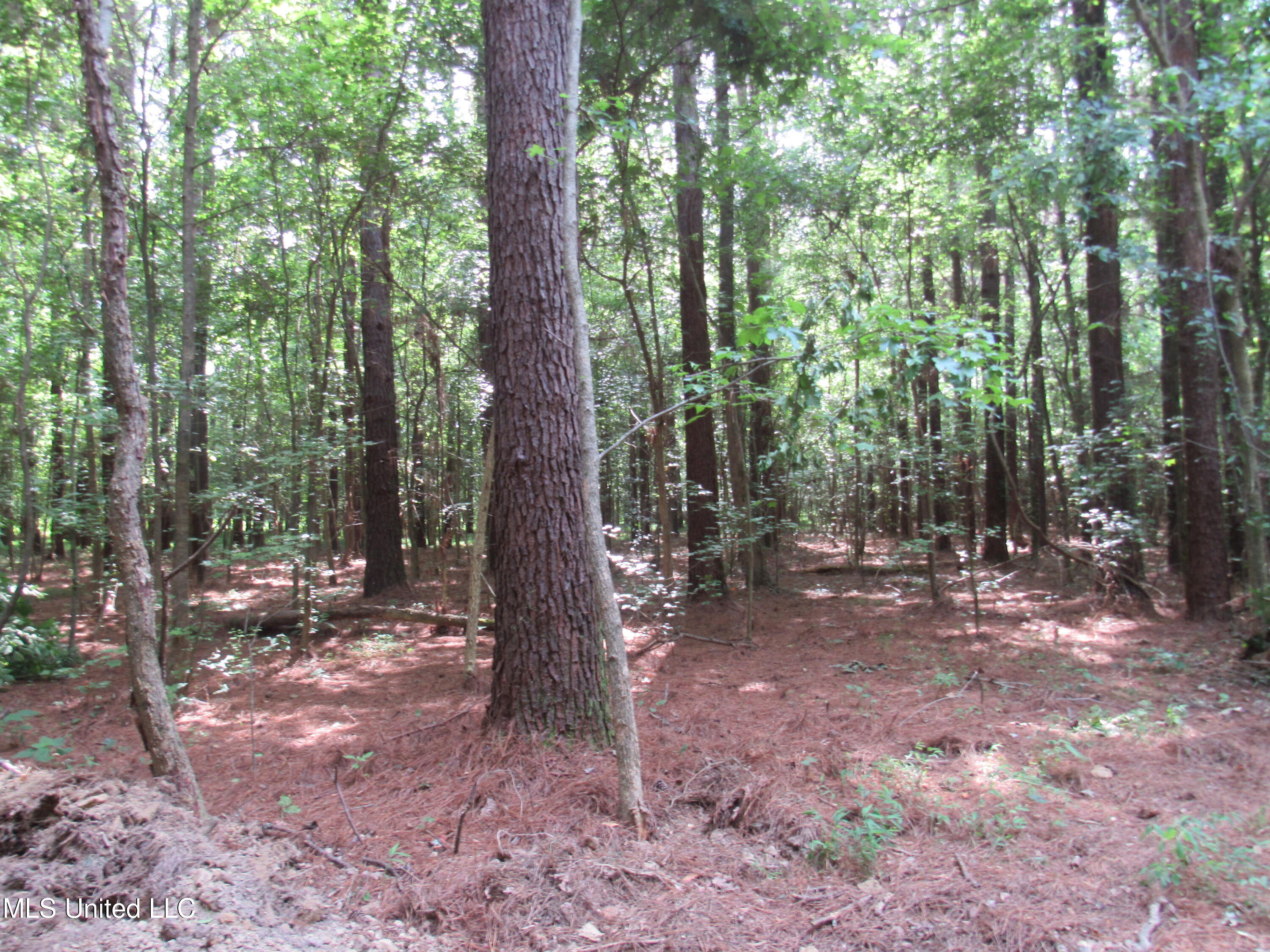 No Harmon Road Senatobia, MS 38668 - Photo 19 of 46 IMG_3437